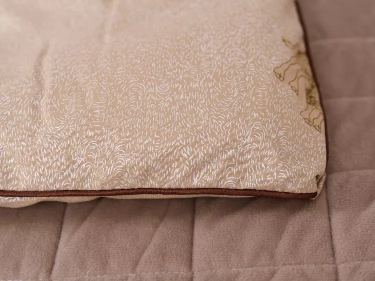 Одеяло "Верблюд" зима тик