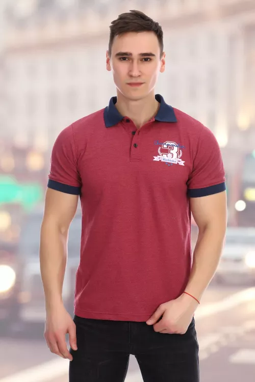 Мужская футболка-поло 664505