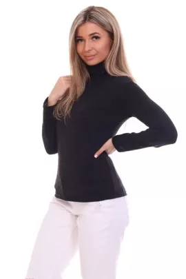 Водолазка В4-2-Ч