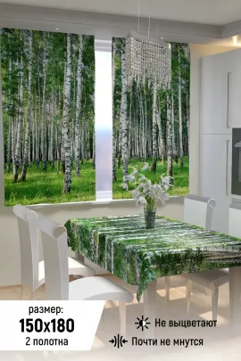 Фотошторы для кухни 10847
