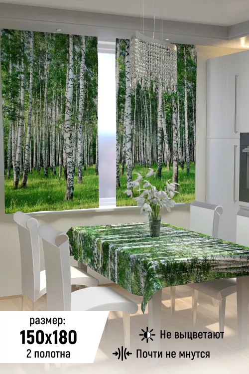 Фотошторы для кухни 10847
