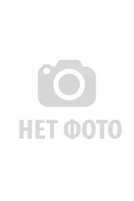 Ирбис футболка женская (василек)