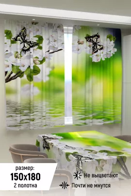 Фотошторы для кухни 10854